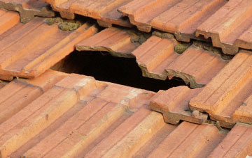 roof repair Puxton, Somerset